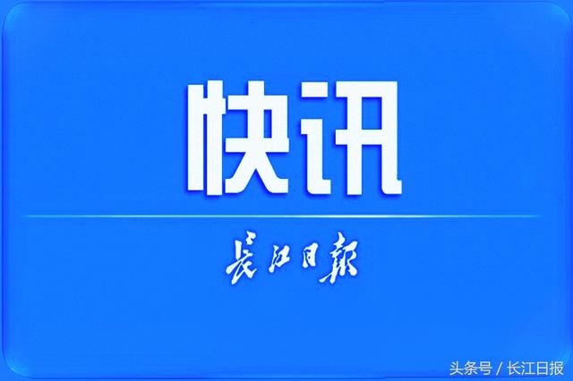 用身份证查询(96305查询身份证进度)